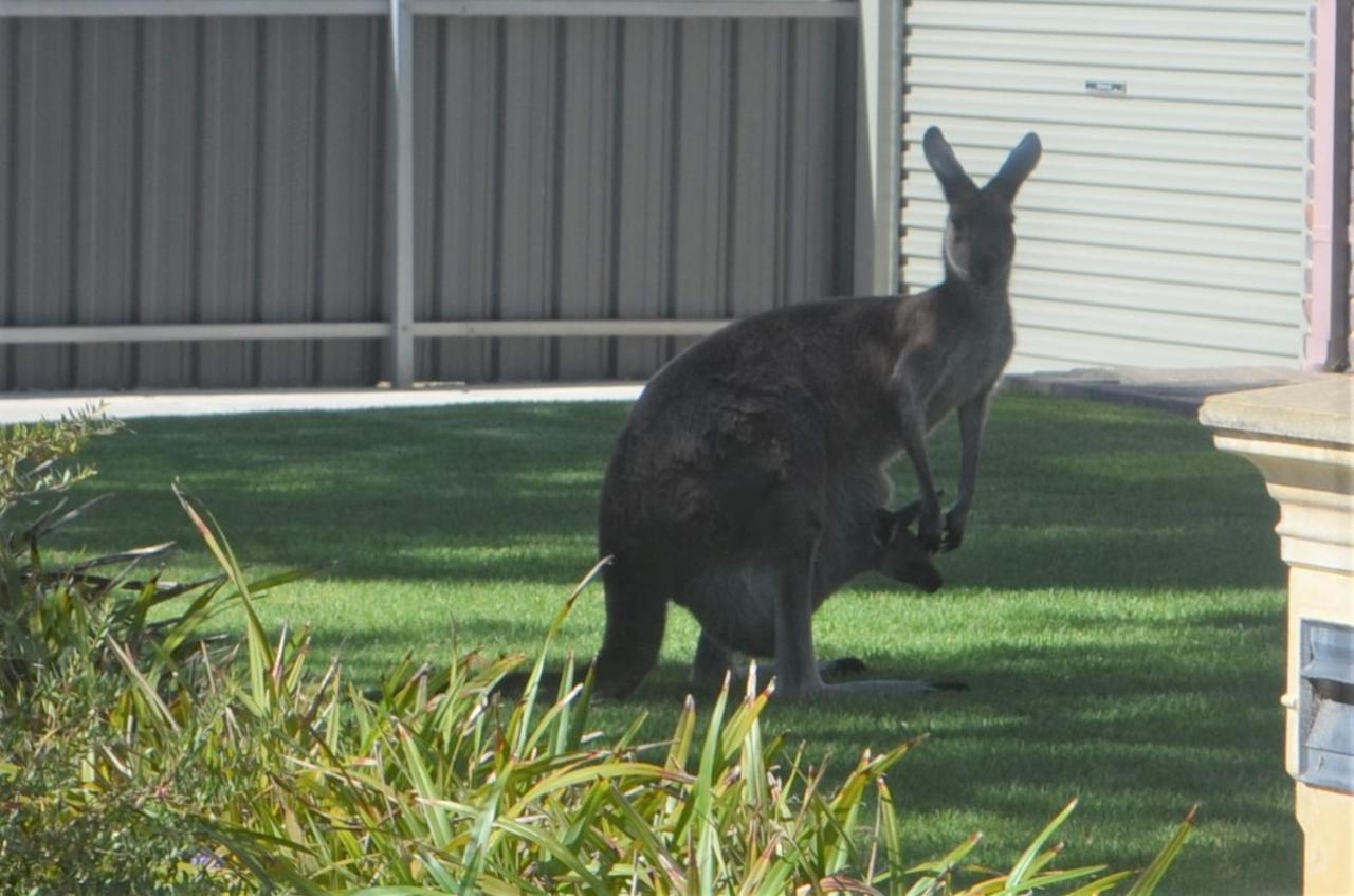 The Lamb Shack Hotel Aldinga Beach ภายนอก รูปภาพ