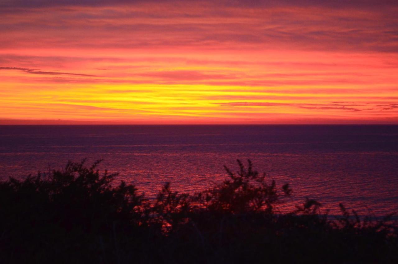 The Lamb Shack Hotel Aldinga Beach ภายนอก รูปภาพ